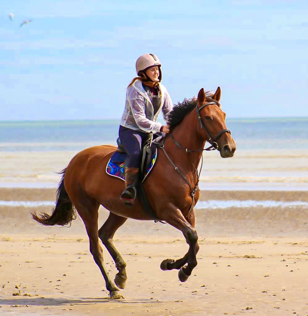 Peacock Saddle Pad