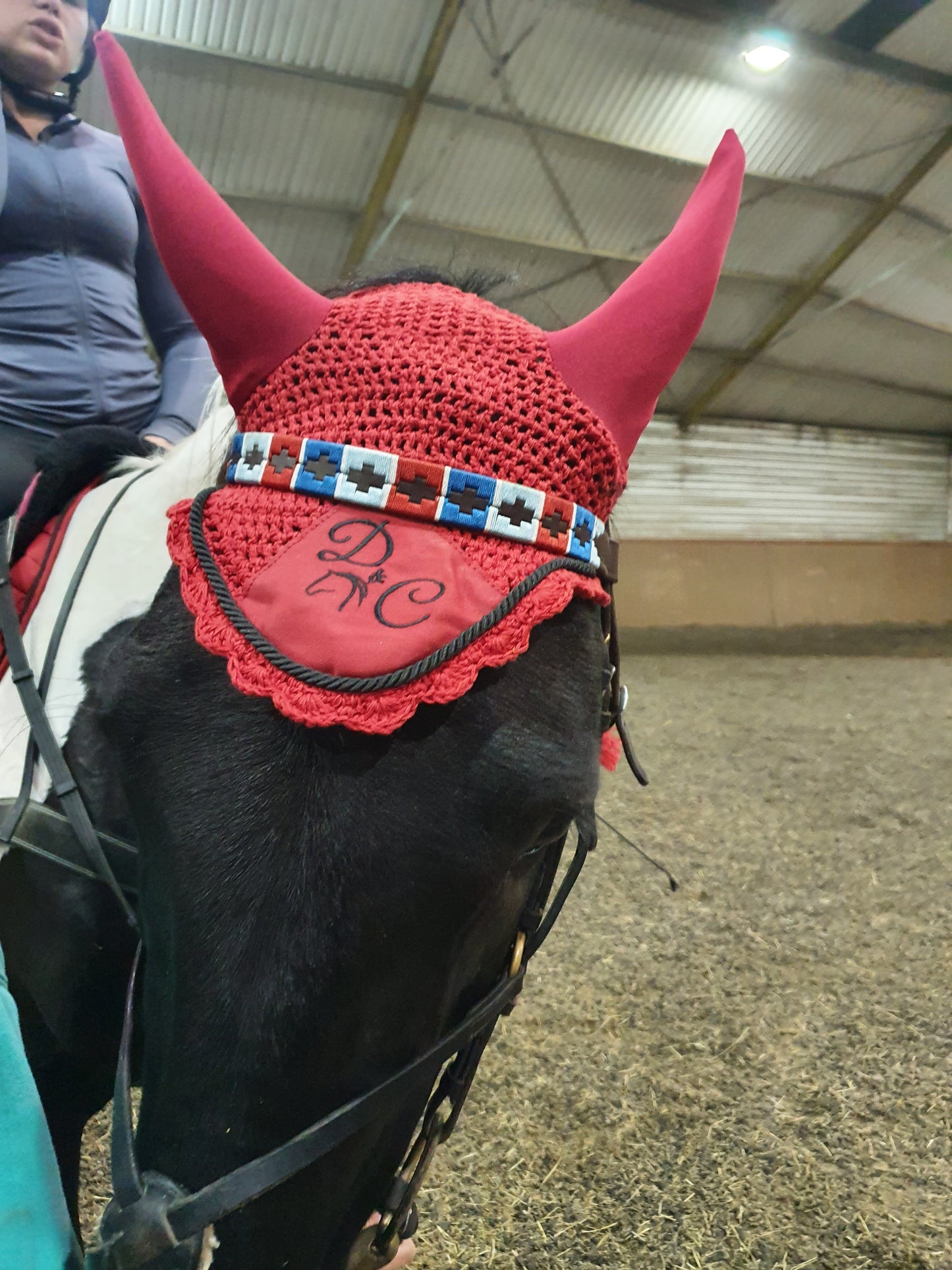 Ruby Red Fly Veil