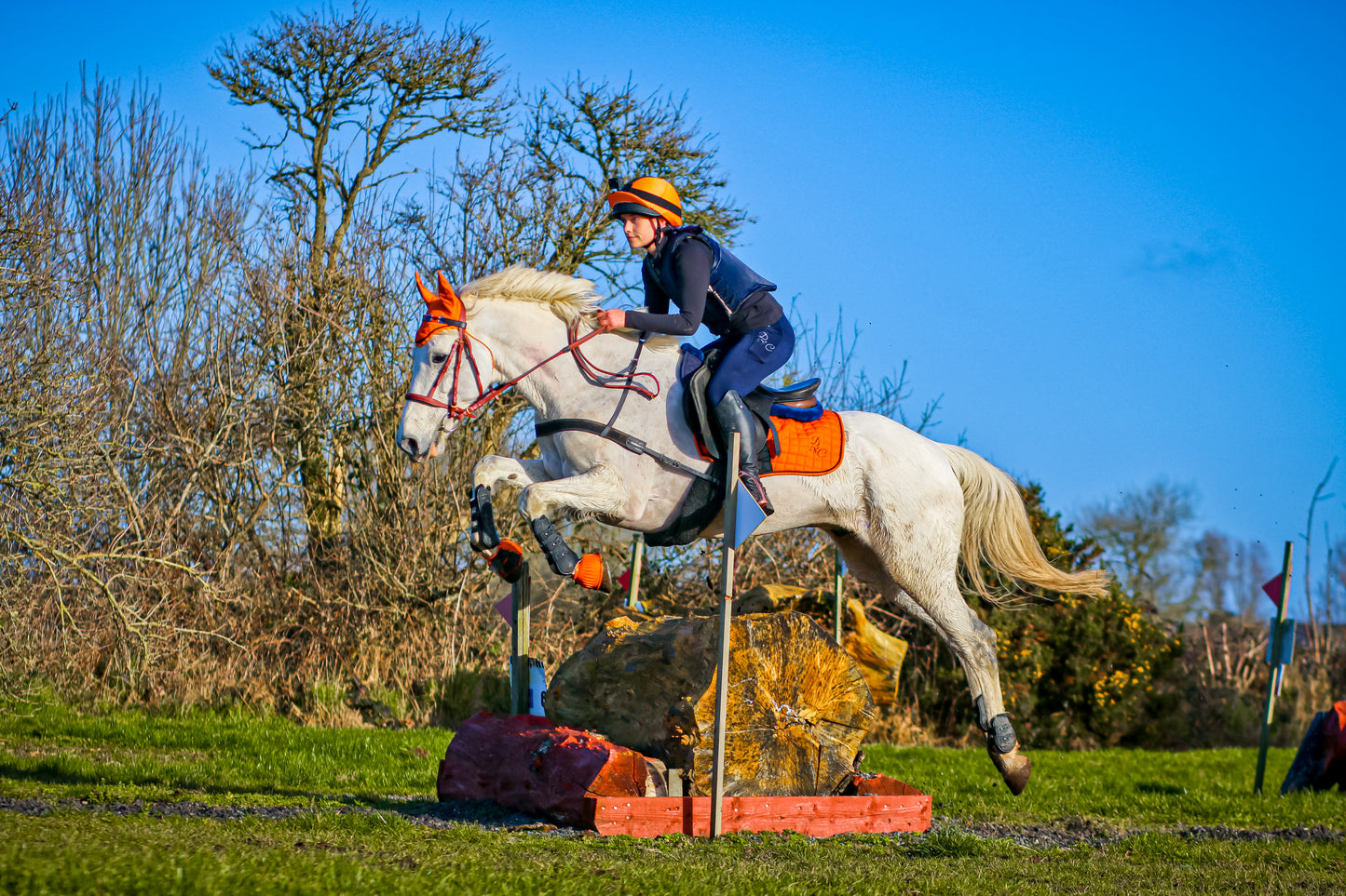 Sunset Orange Saddle Pad