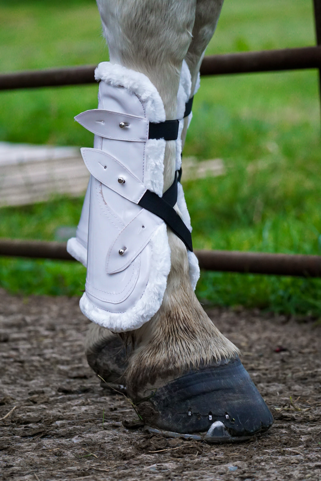 Luxury Fleece Tendon Boots