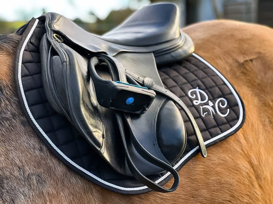 Classic Black CC Saddle Pad